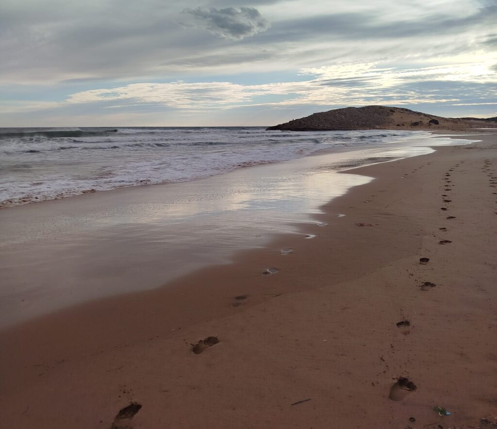 camino-proceso